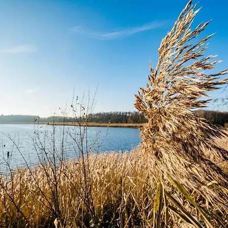 Luxus-see-domizil Mit Sauna, Kamin Und Boot-130 Qm Fuer 6 Personen * Krakow am See