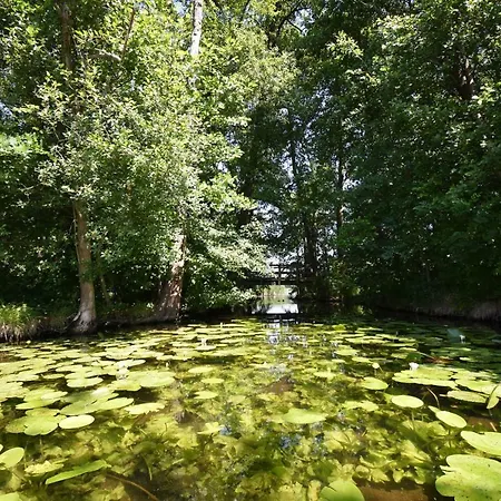 Luxus-see-domizil Mit Sauna, Kamin Und Boot-130 Qm Fuer 6 Personen *